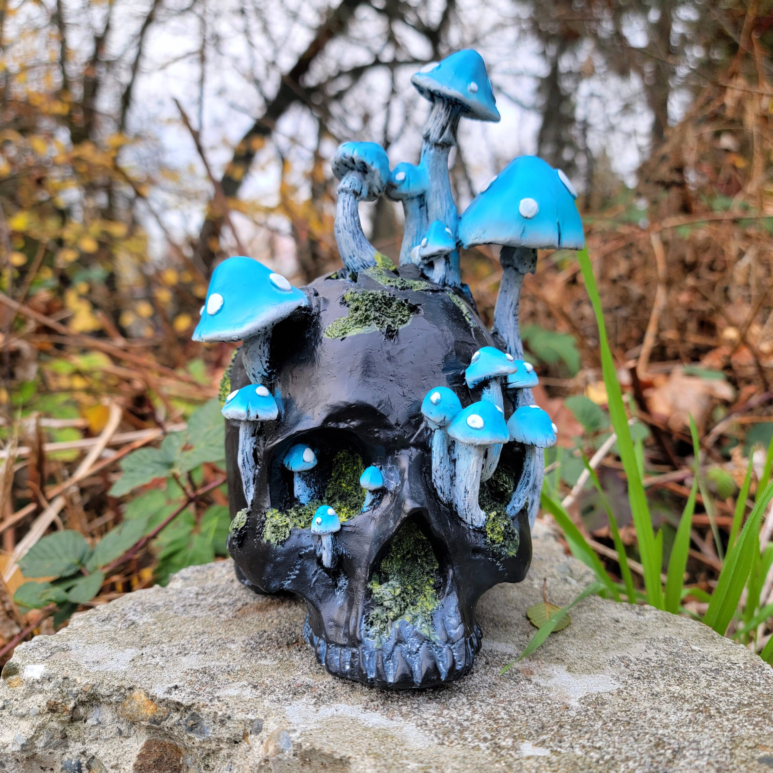 Slide 4 for Blue Mushroom Black Skull, Verdigris agaric, Oddities Decor