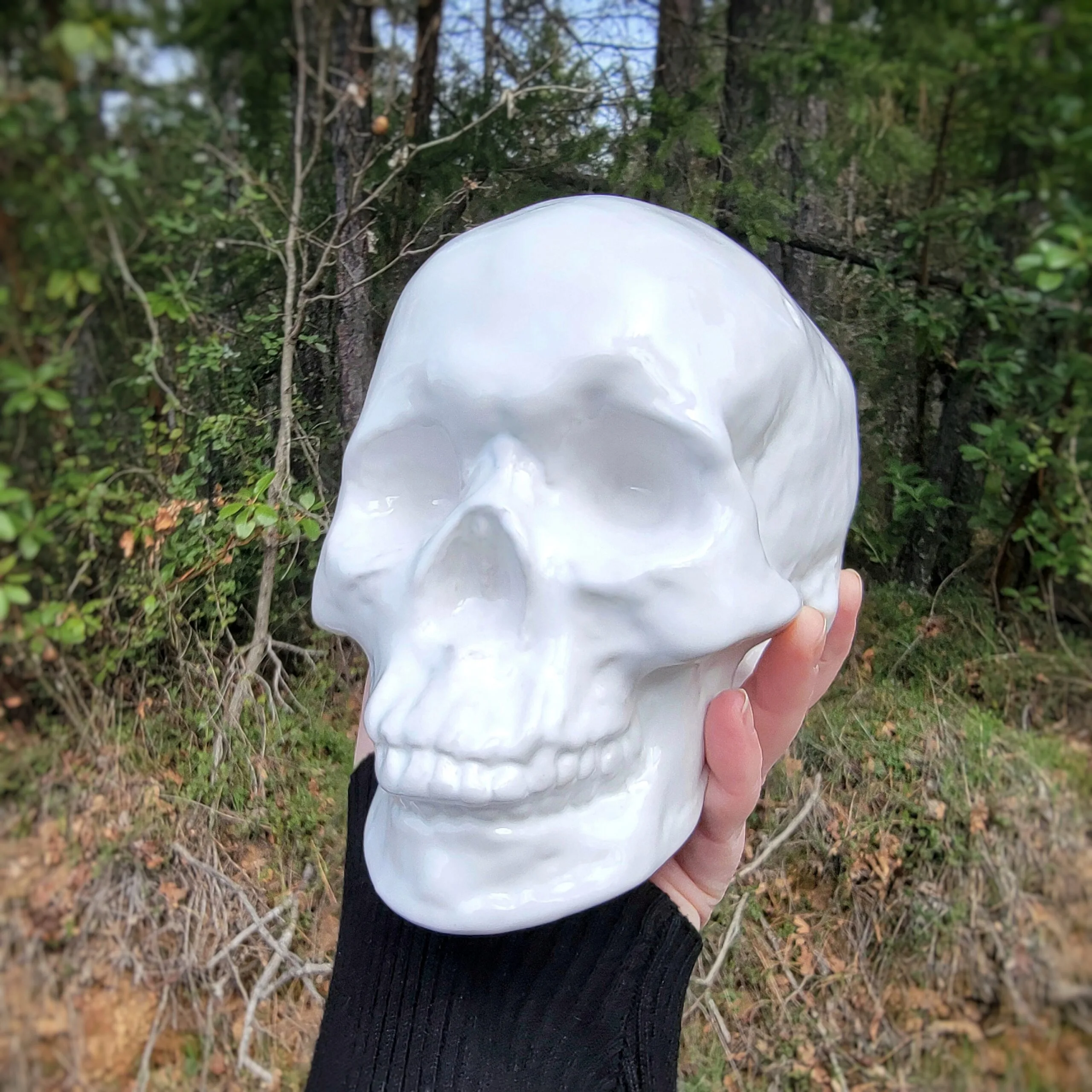 Slide 5 for White Ceramic Skull Decor