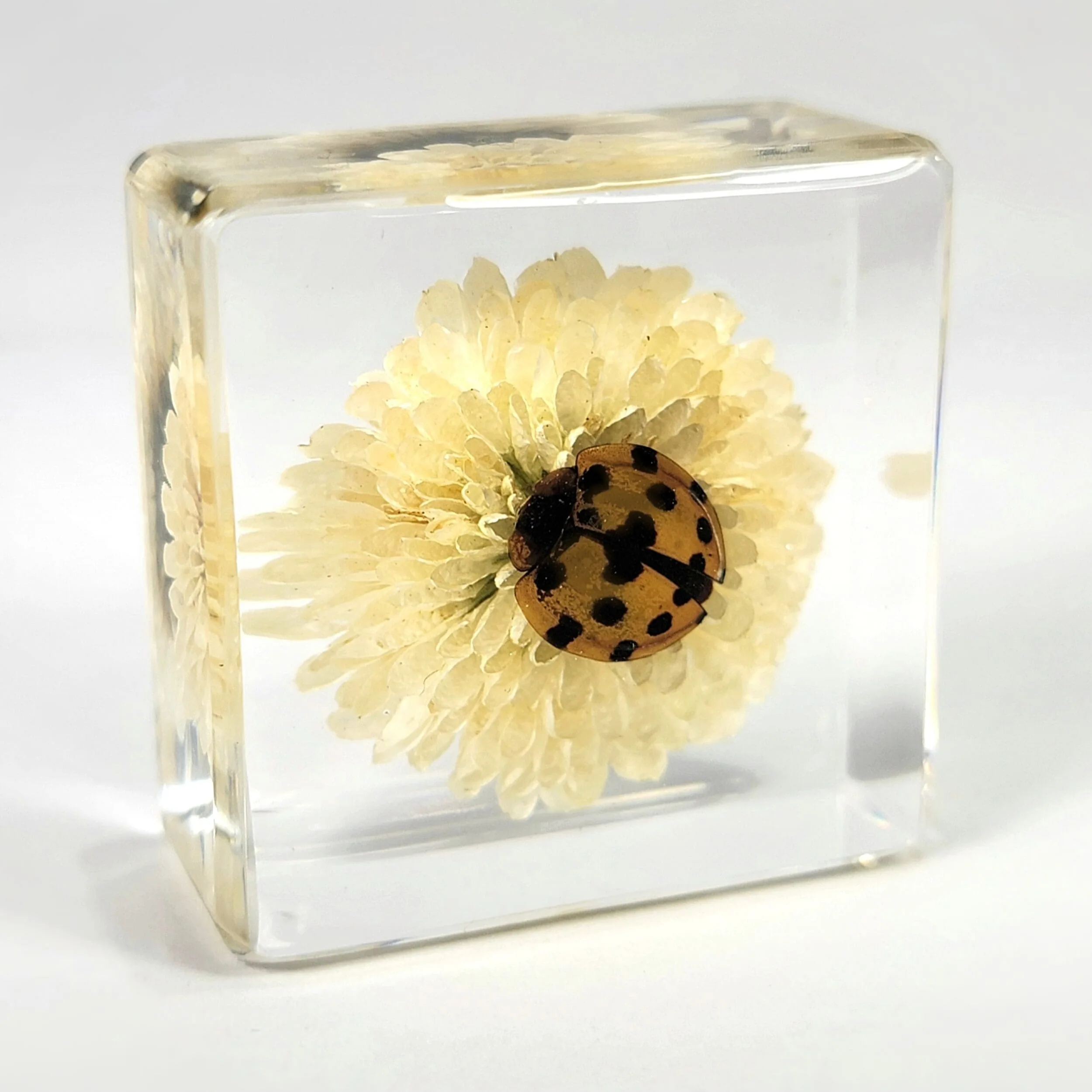 Slide 2 for Ladybug with Flower in Resin, Tiny Beetle in Resin