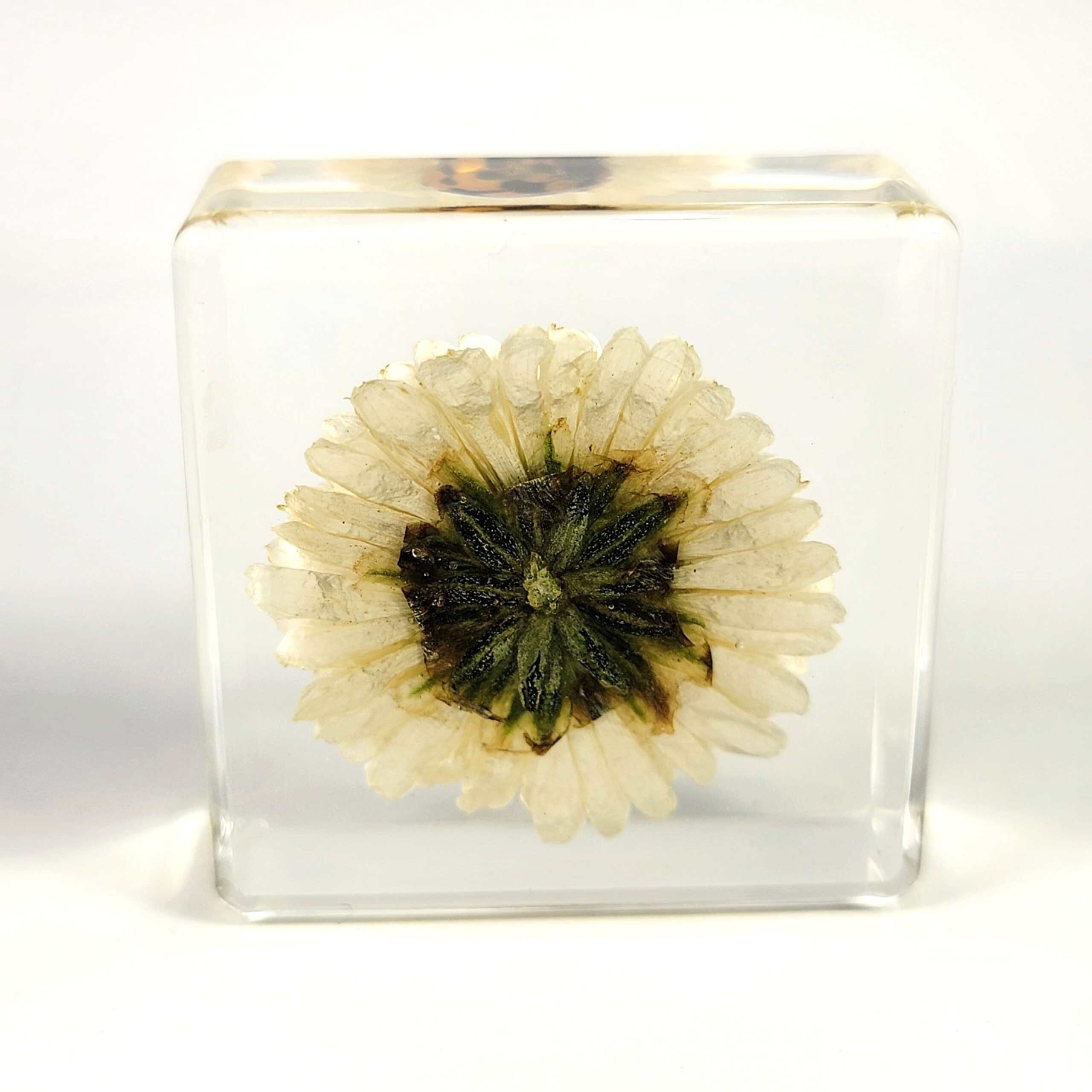 Slide 5 for Ladybug with Flower in Resin, Tiny Beetle in Resin