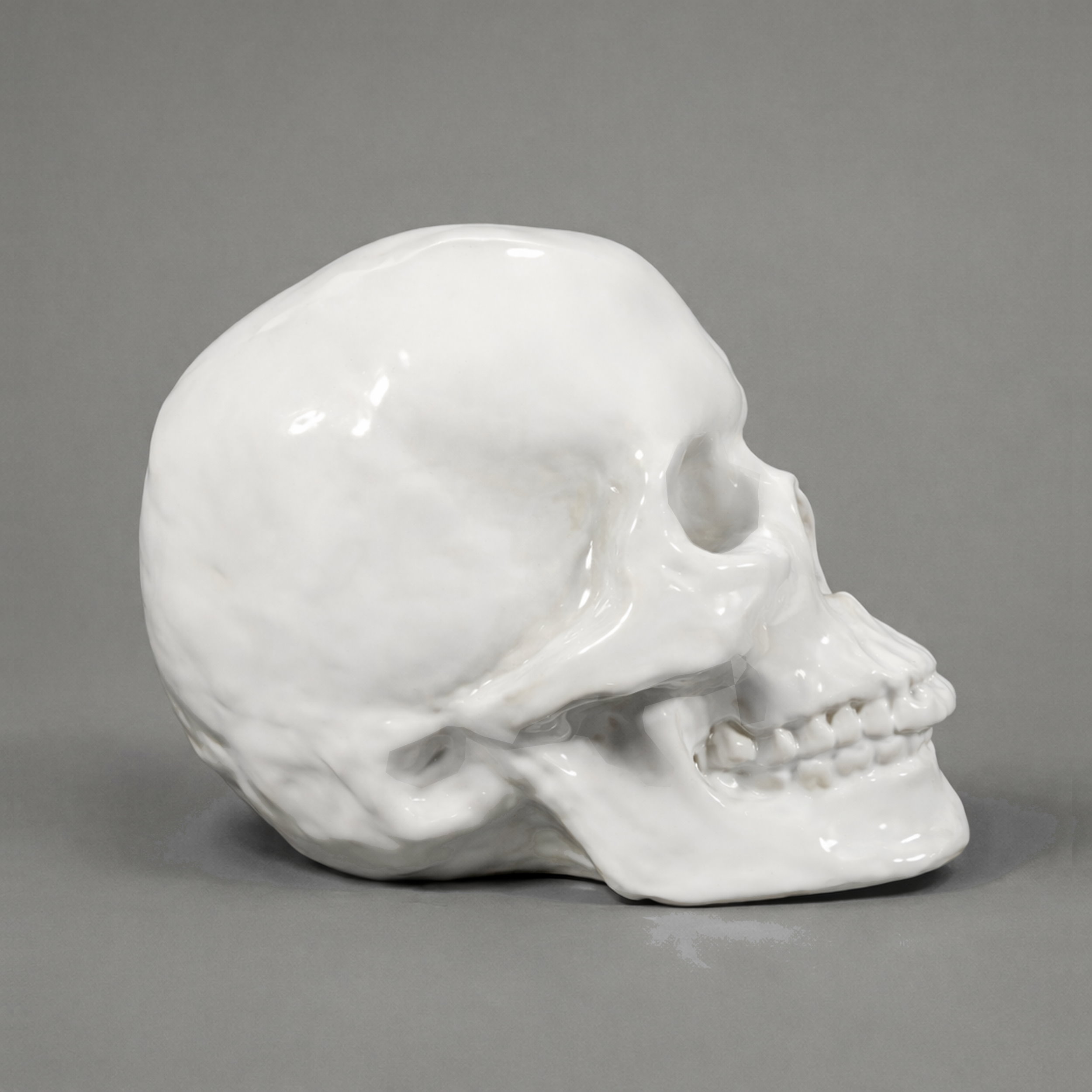 Slide 4 for White Ceramic Skull Decor