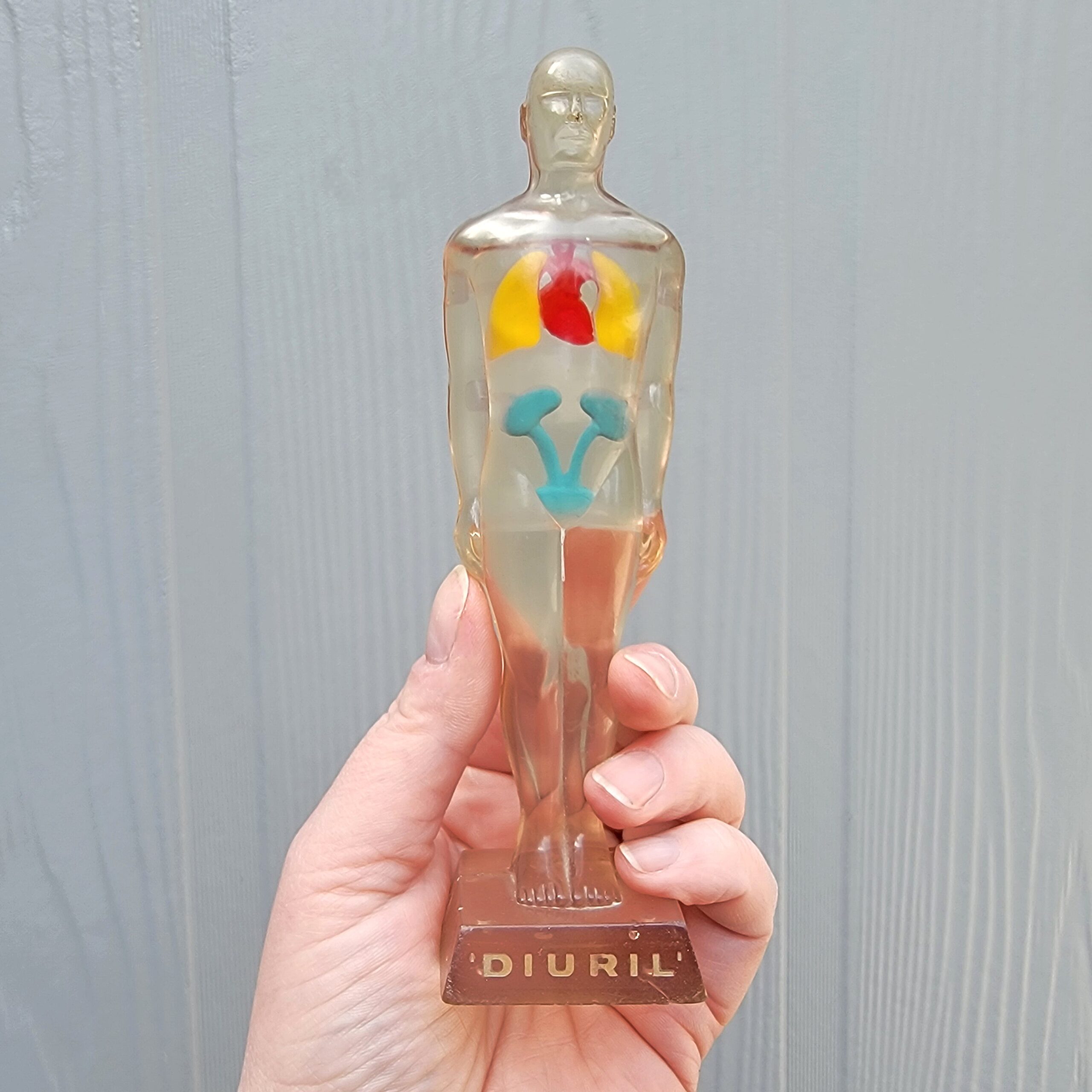 Slide 2 for Vintage Anatomical Figures, 1950's Diuril Medical Advertising