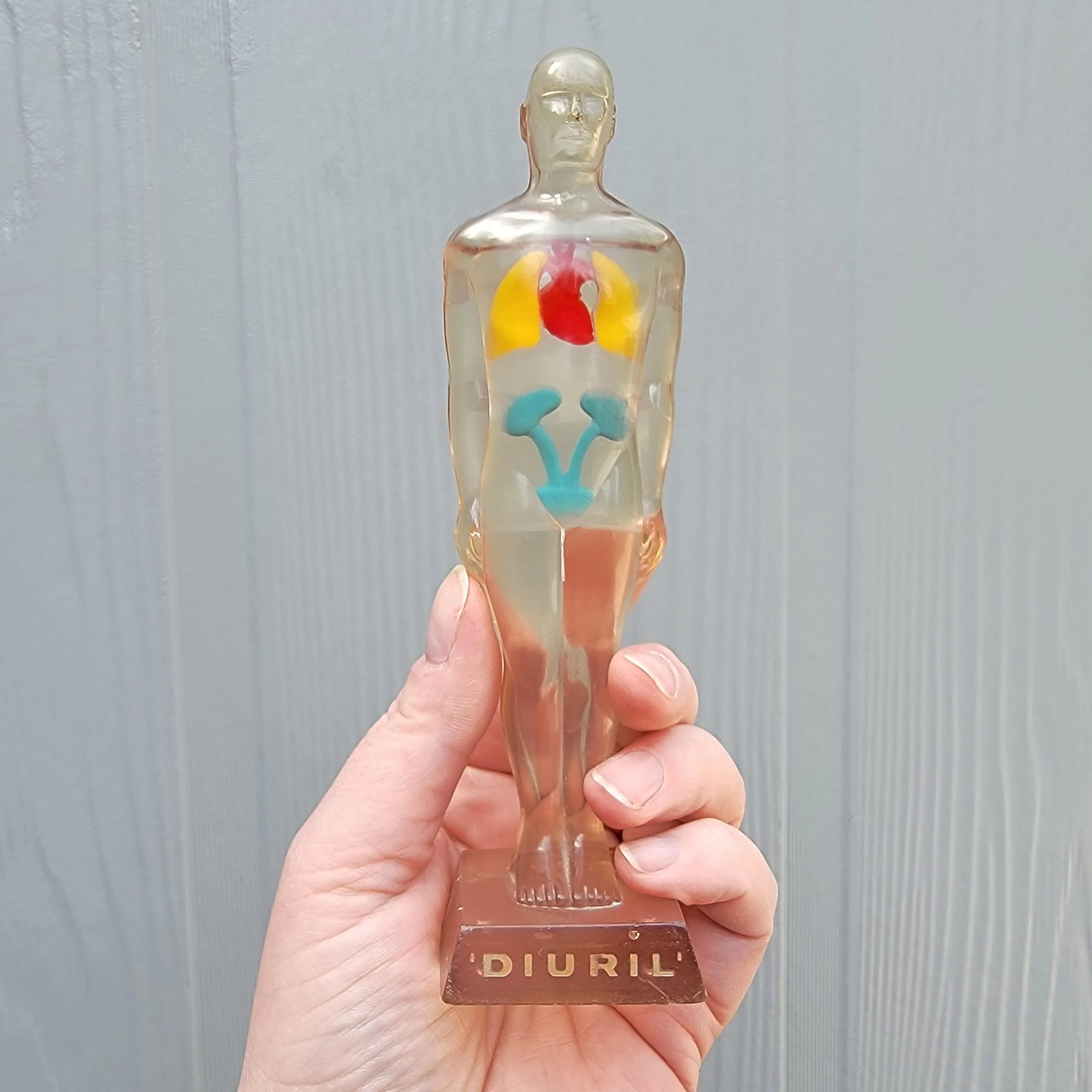 Slide 5 for Vintage Anatomical Figures, 1950's Diuril Medical Advertising