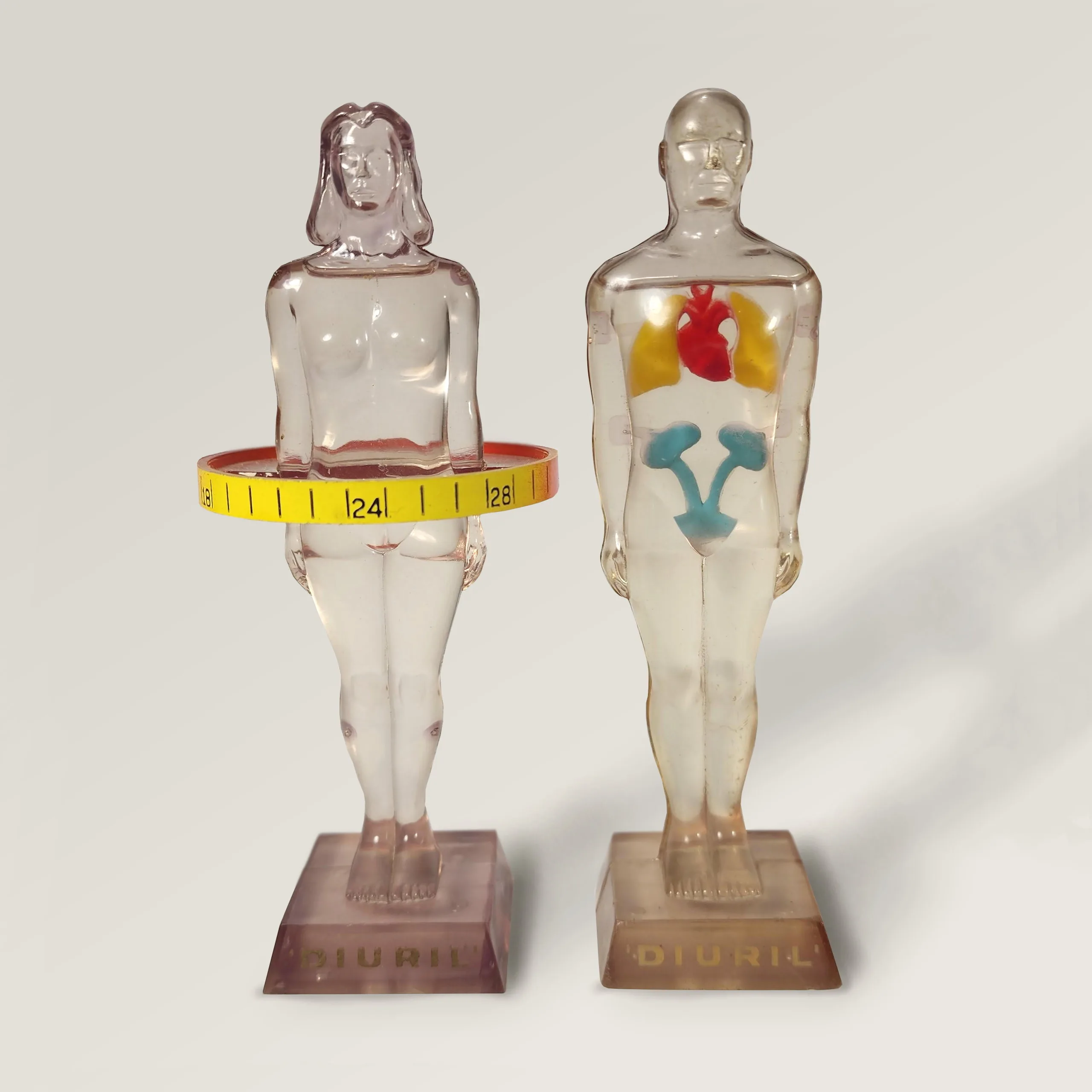 Slide 1 for Vintage Anatomical Figures, 1950's Diuril Medical Advertising