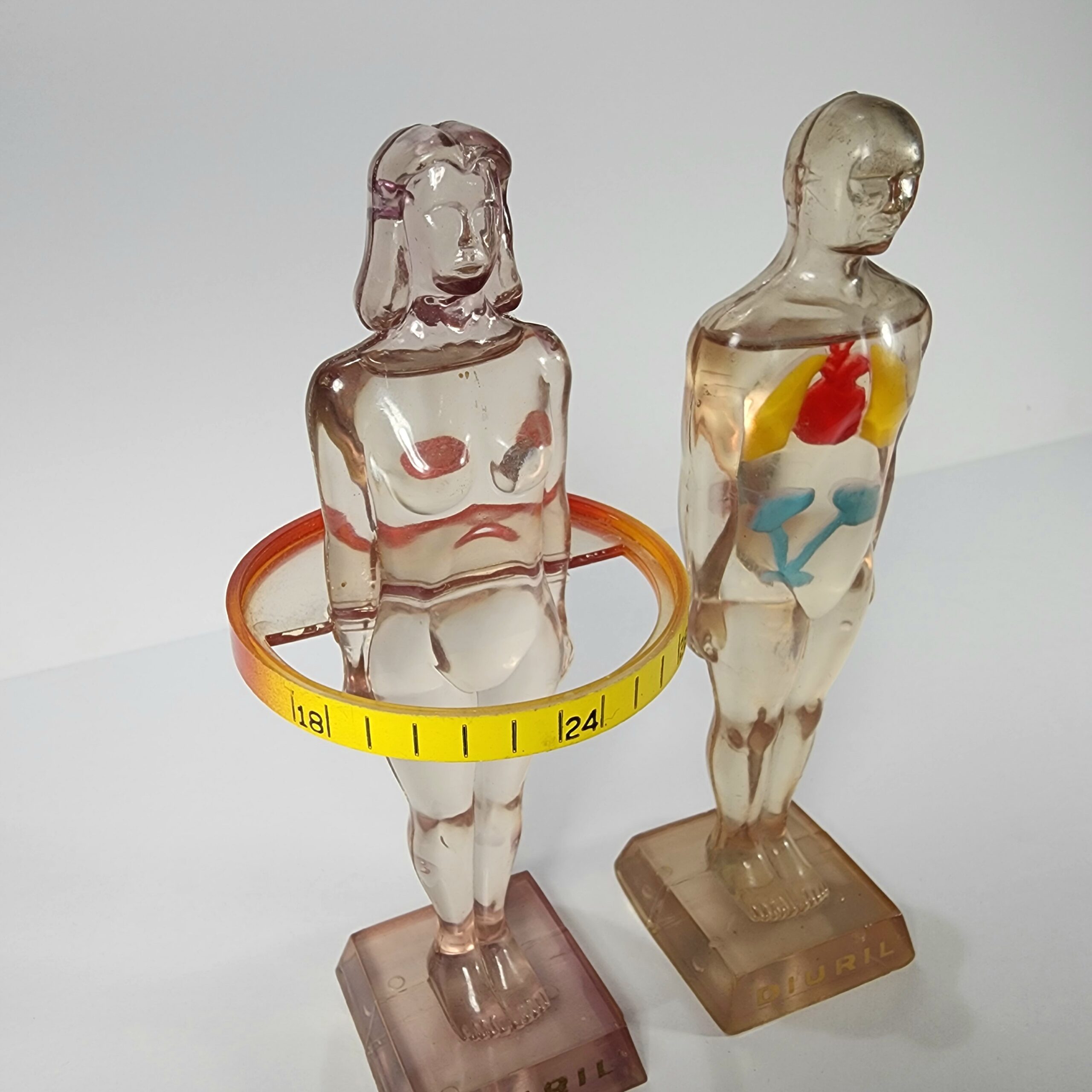 Slide 4 for Vintage Anatomical Figures, 1950's Diuril Medical Advertising