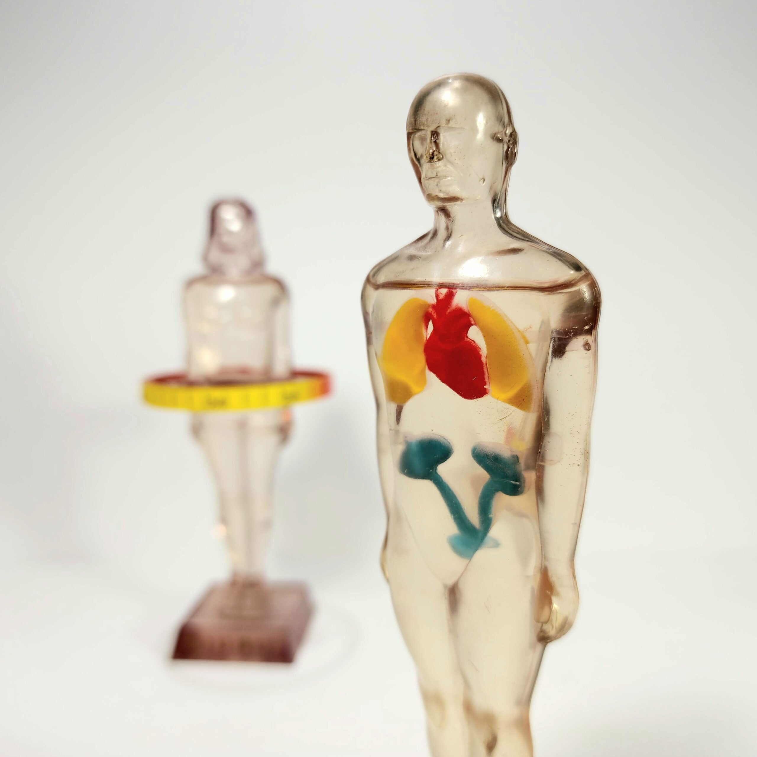 Slide 3 for Vintage Anatomical Figures, 1950's Diuril Medical Advertising