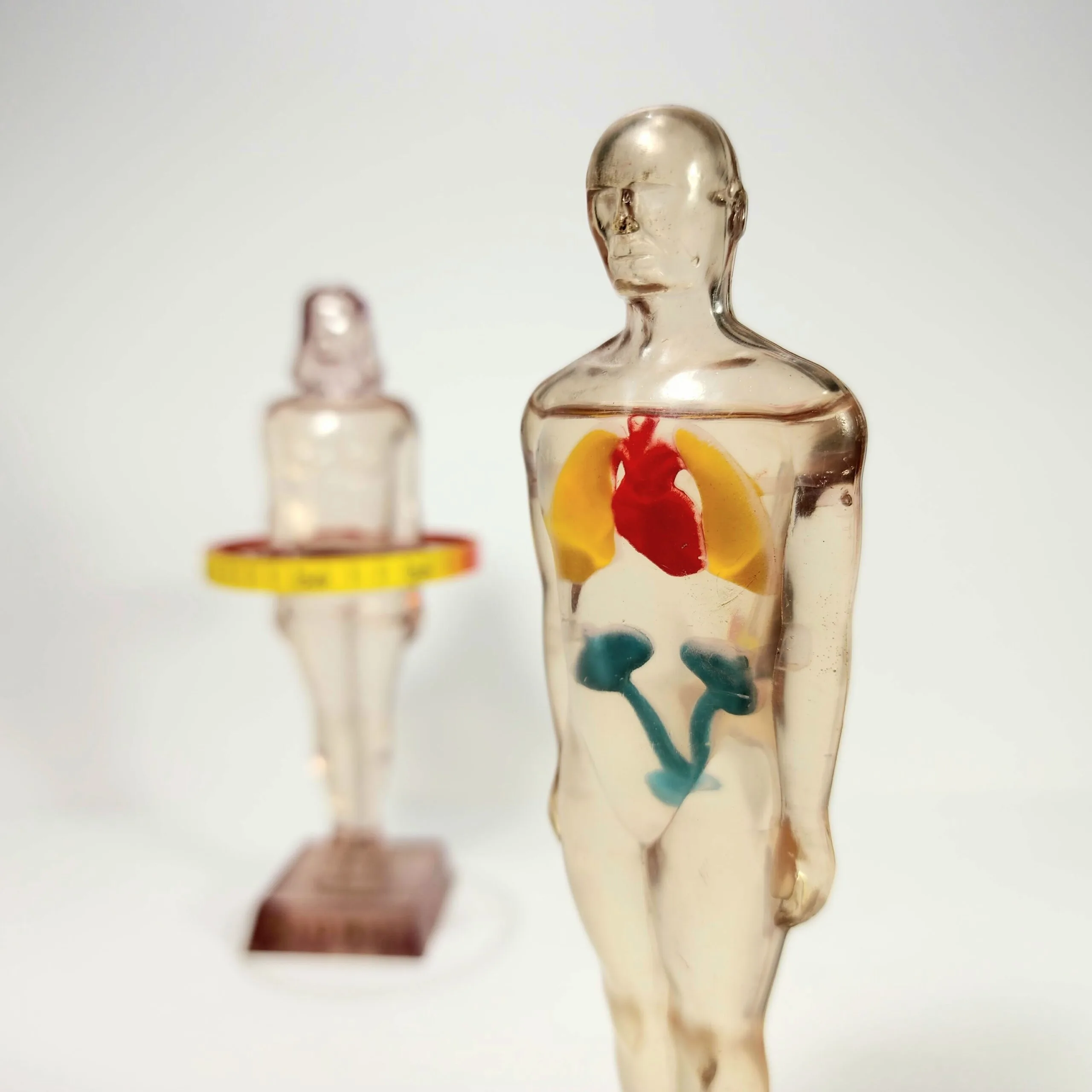 Slide 3 for Vintage Anatomical Figures, 1950's Diuril Medical Advertising