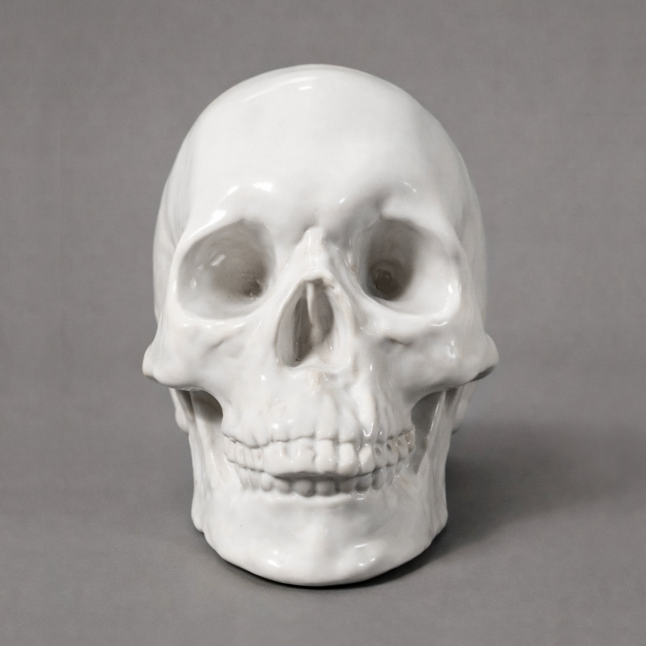 Slide 3 for White Ceramic Skull Decor