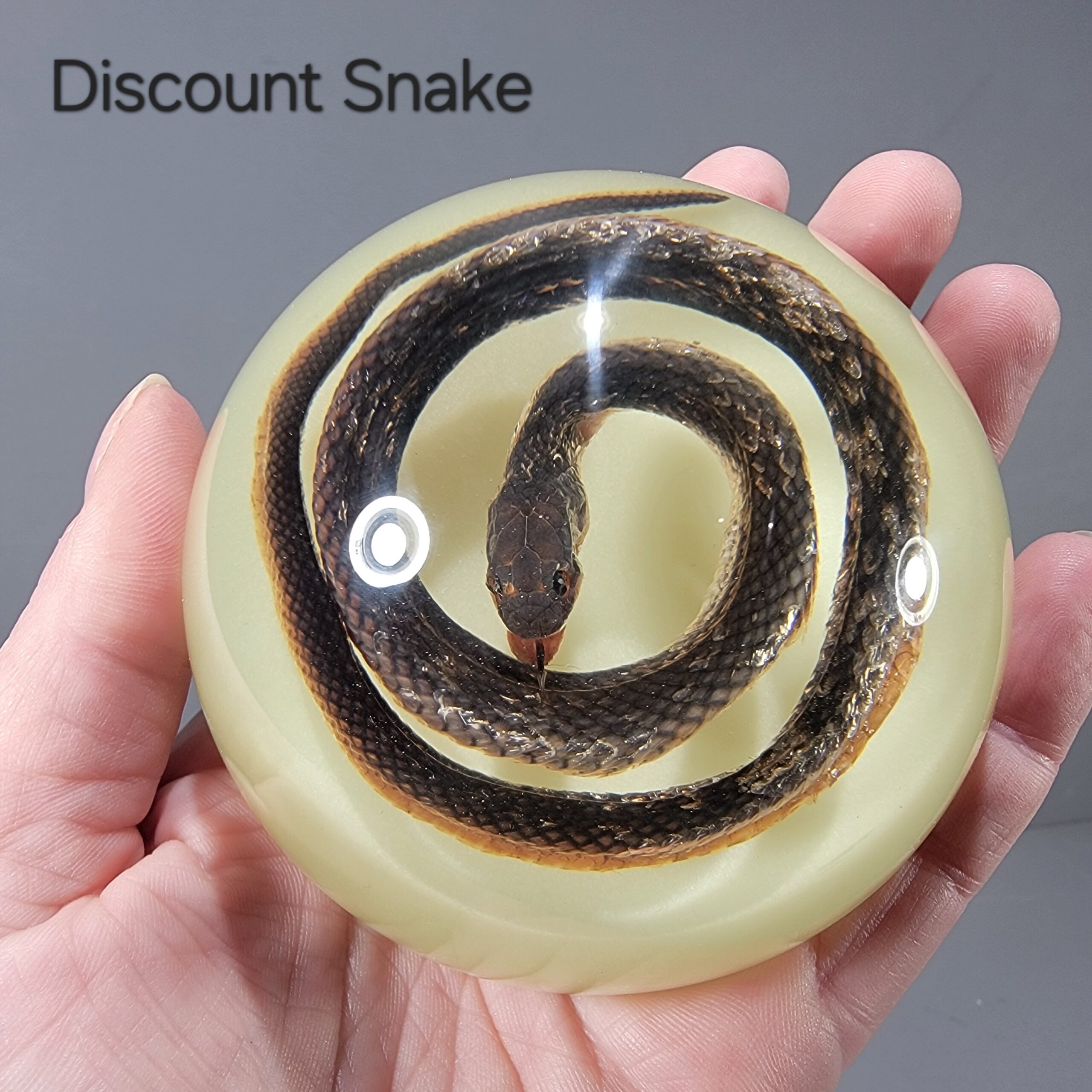 Slide 4 for DISCOUNT -Real Snake Glow in the Dark, Snake Dome