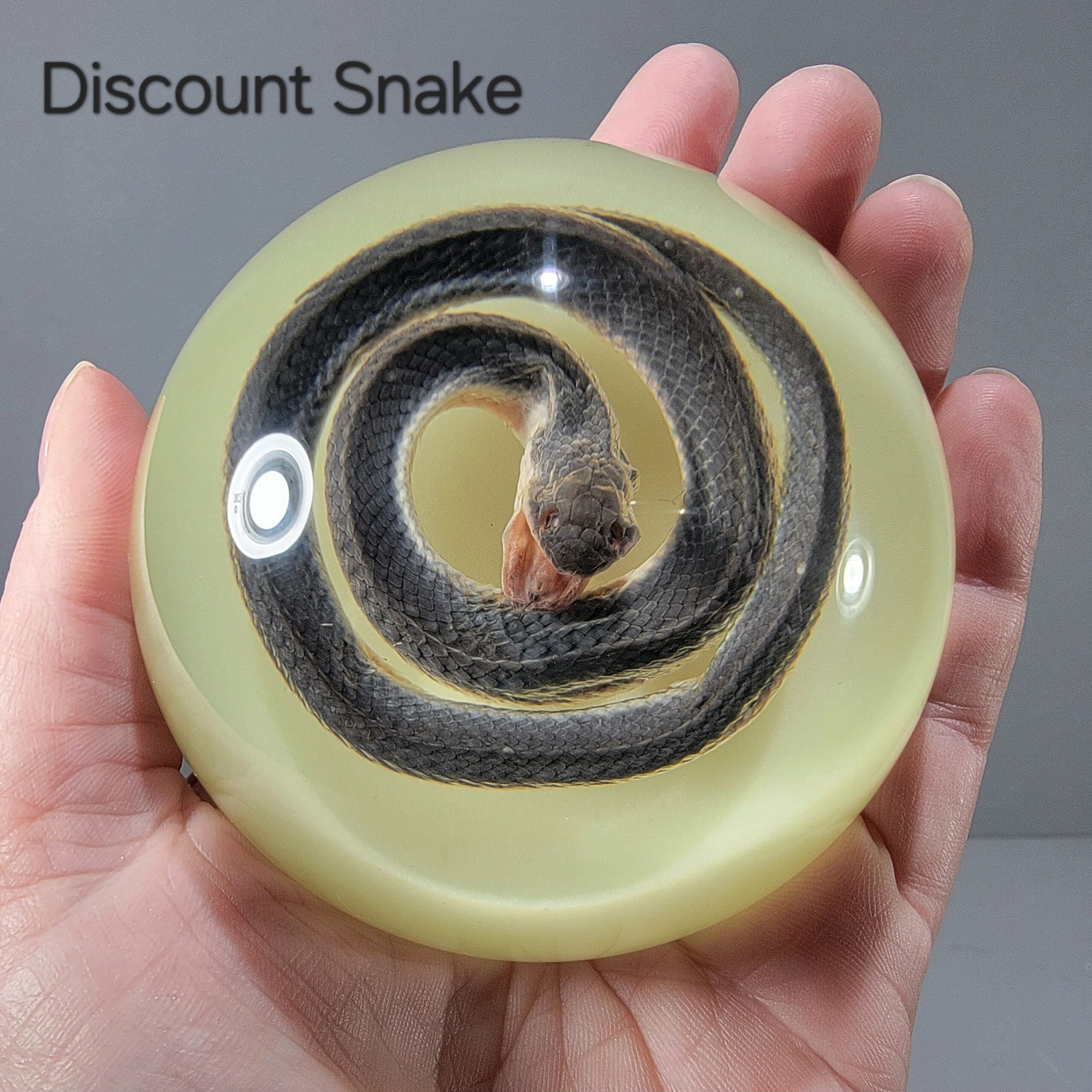 Slide 3 for DISCOUNT -Real Snake Glow in the Dark, Snake Dome