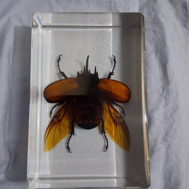 Image #1 from Alison M