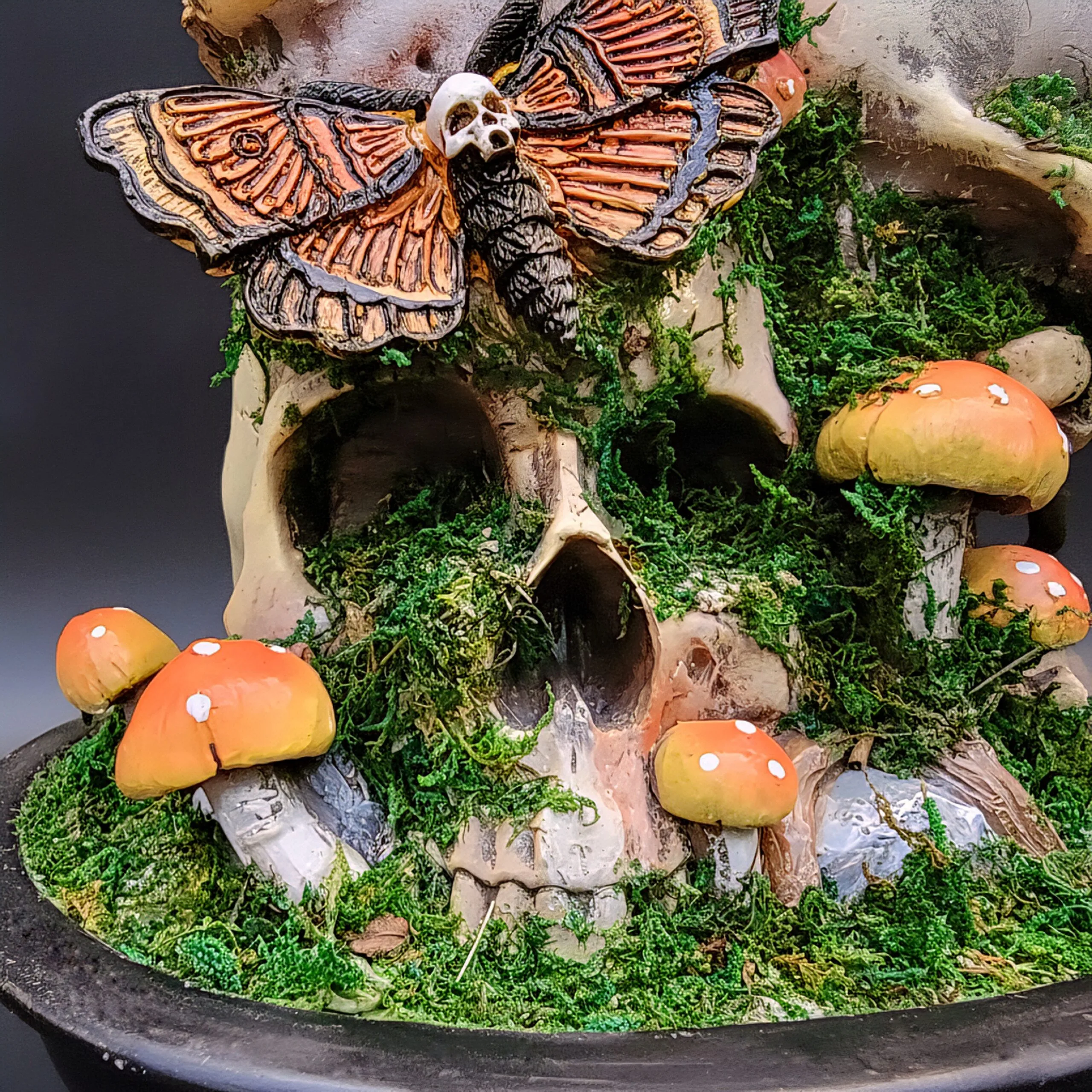 Slide 3 for Death Head Moth, Mushroom Skull Statue