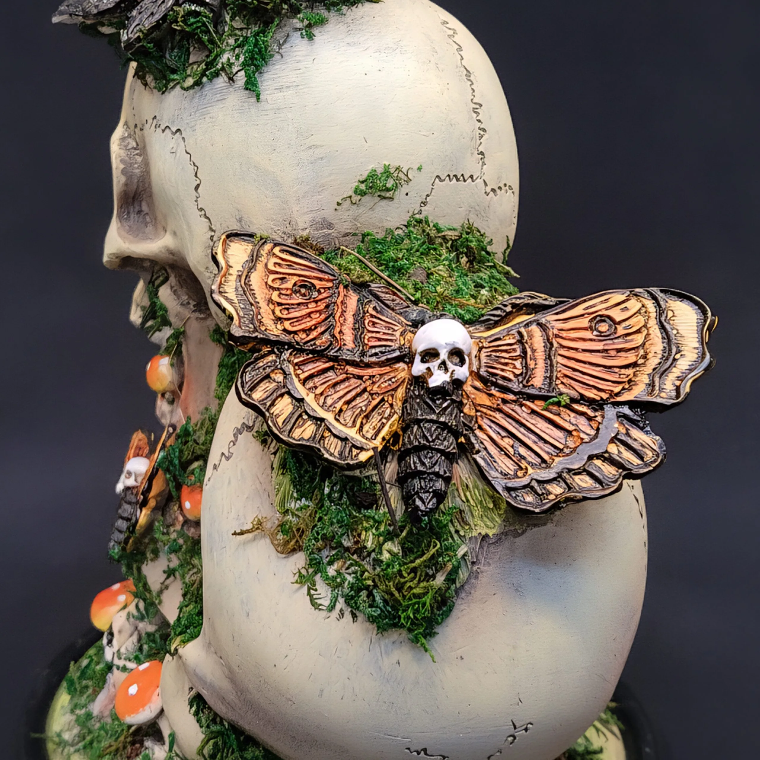 Slide 5 for Death Head Moth, Mushroom Skull Statue