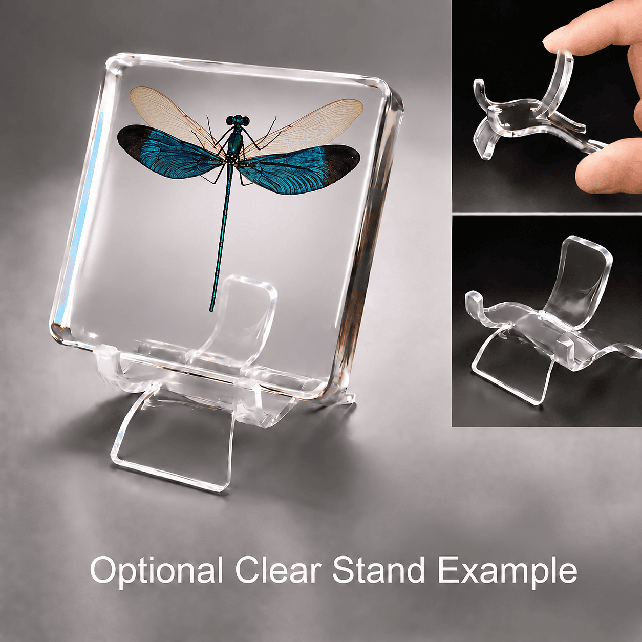 Slide 4 for Damselfly In Resin, Metalwing, Insects in Resin