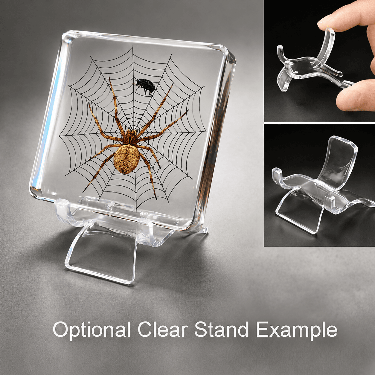 Real Preserved Spider and Fly, Spider Web, Oddities For Sale, Insects in Resin