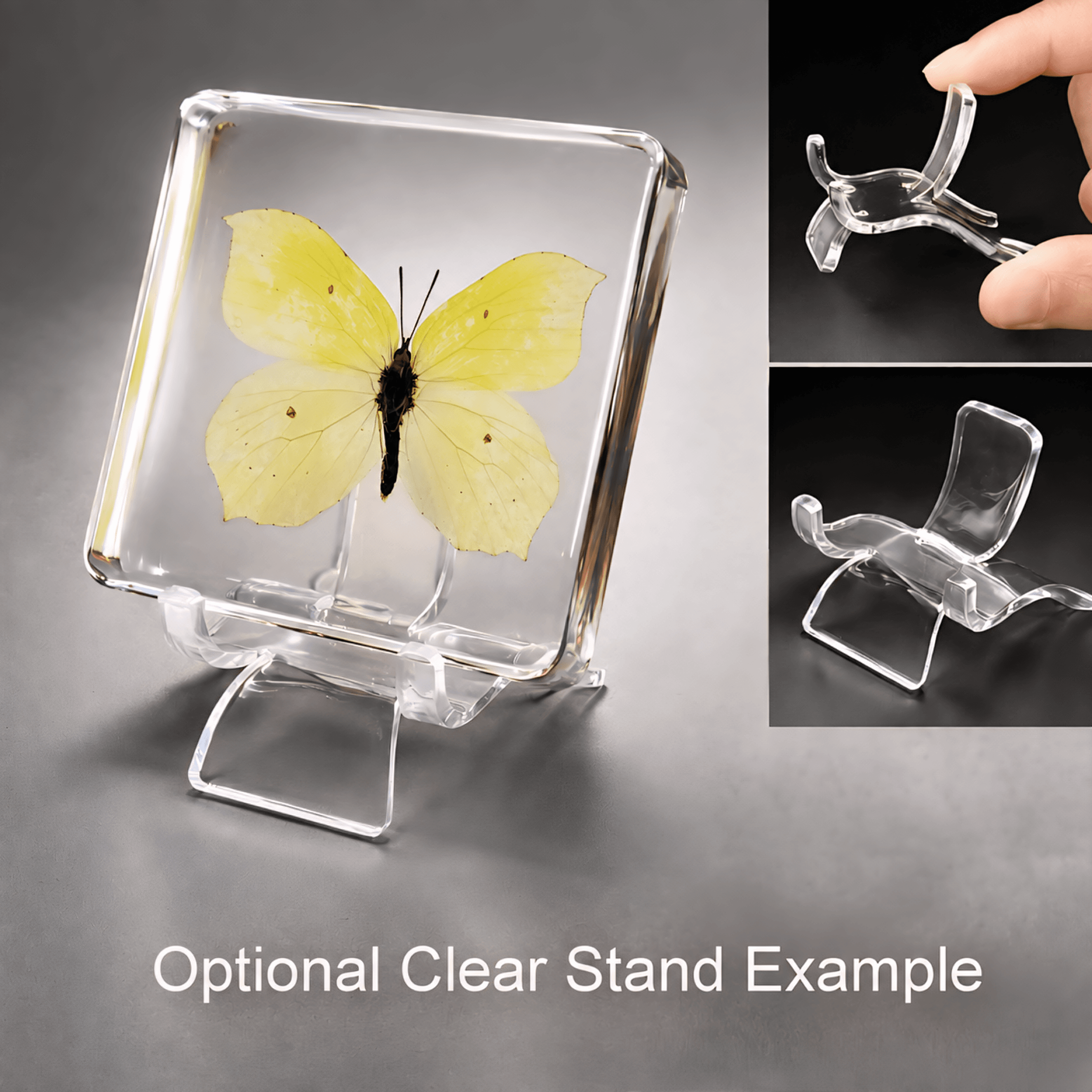 Slide 4 for Common Brimstone Yellow Butterfly in Resin, Gonepterx Rhamni